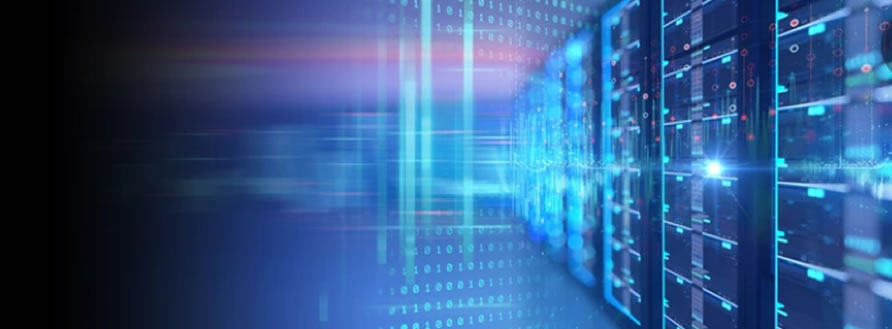 domain hosting domain hosting